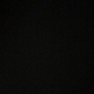 Meet your Posher, Donte